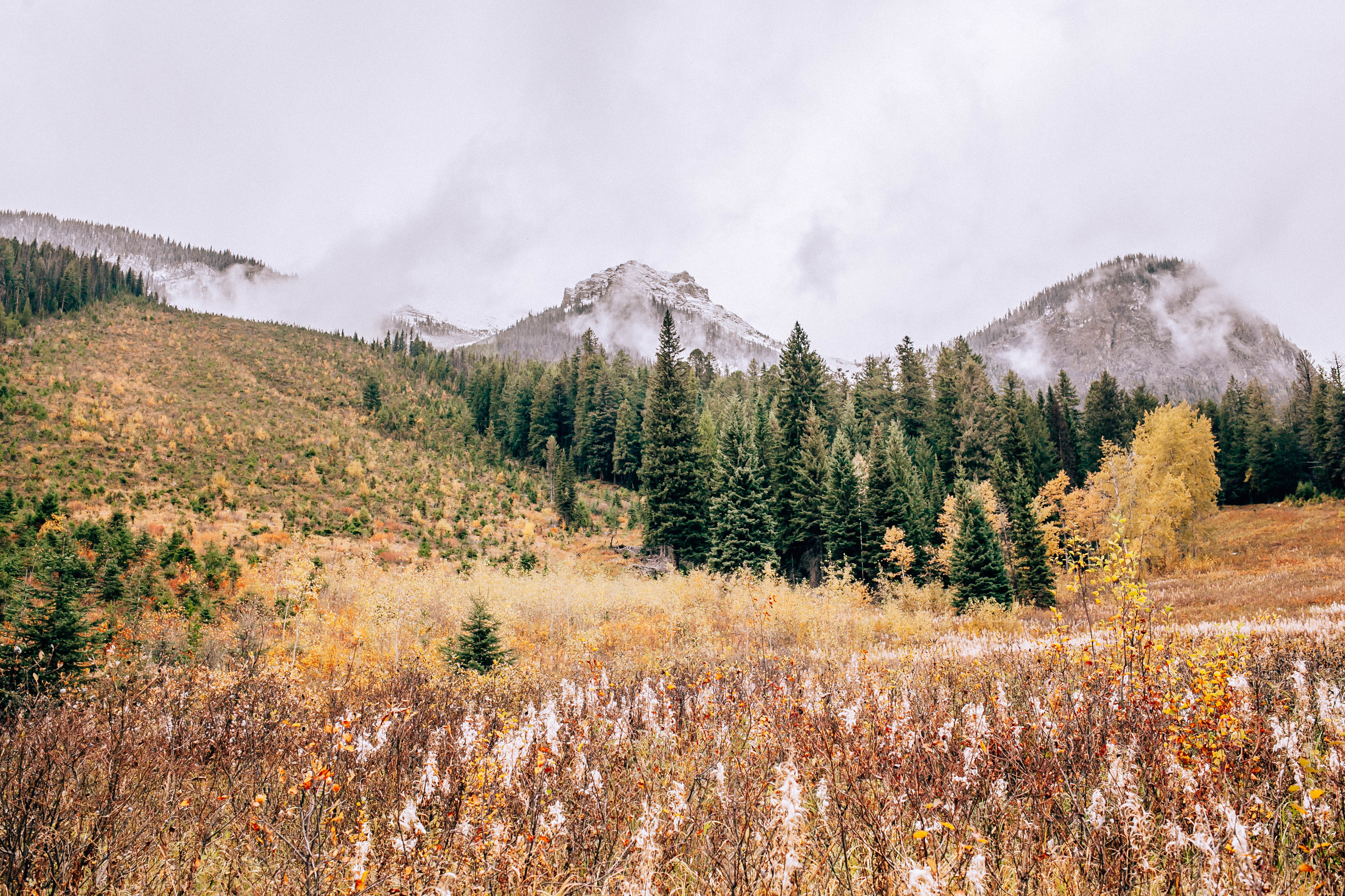 Banff Travel Guide on Rachellaurenlucy.com. Where to stay in Banff, what to do in Banff and where to eat in Banff. Our fall trip to Banff was a dream and we rounded up our favorite Banff lakes and hotels for you. Plus, we tell you when to go to Banff and how to get there!