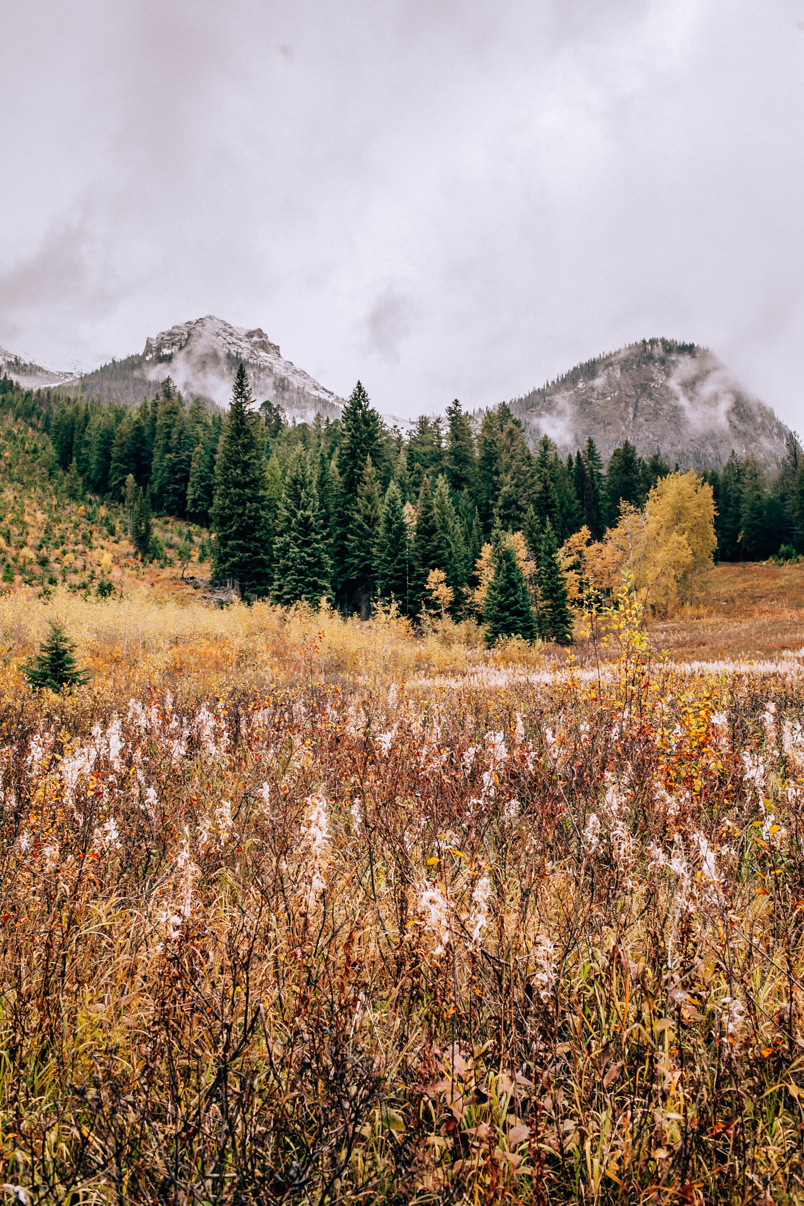 Banff Travel Guide on Rachellaurenlucy.com. Where to stay in Banff, what to do in Banff and where to eat in Banff. Our fall trip to Banff was a dream and we rounded up our favorite Banff lakes and hotels for you. Plus, we tell you when to go to Banff and how to get there!