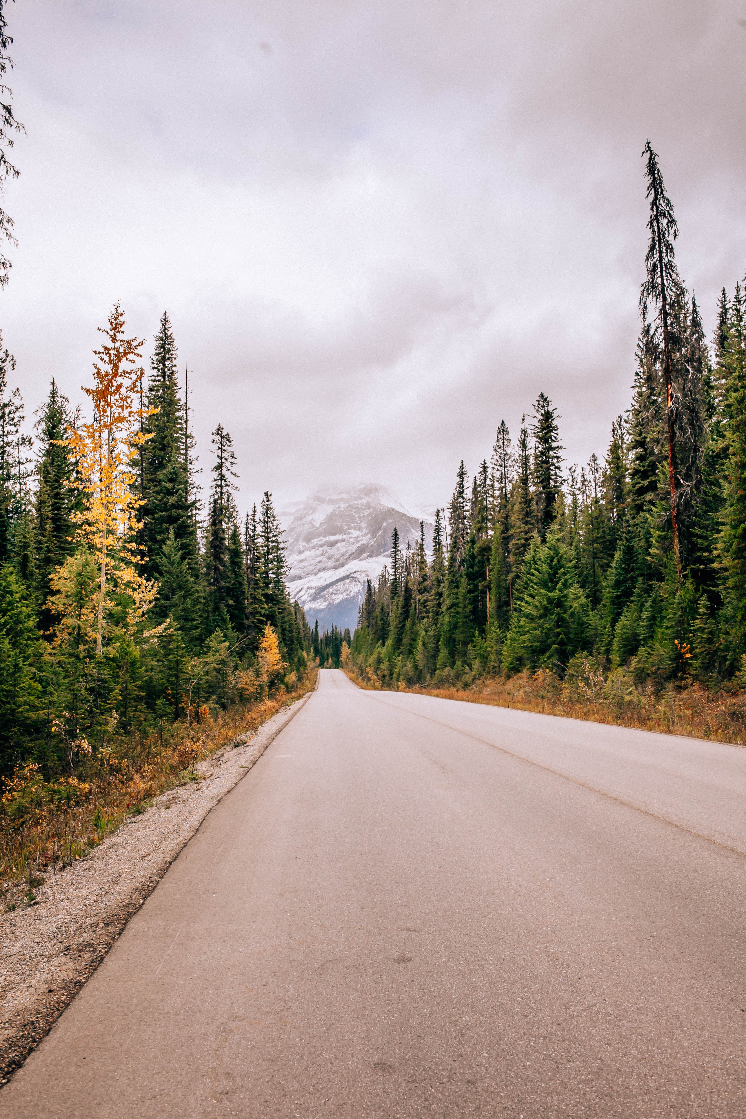Banff Travel Guide on Rachellaurenlucy.com. Where to stay in Banff, what to do in Banff and where to eat in Banff. Our fall trip to Banff was a dream and we rounded up our favorite Banff lakes and hotels for you. Plus, we tell you when to go to Banff and how to get there!