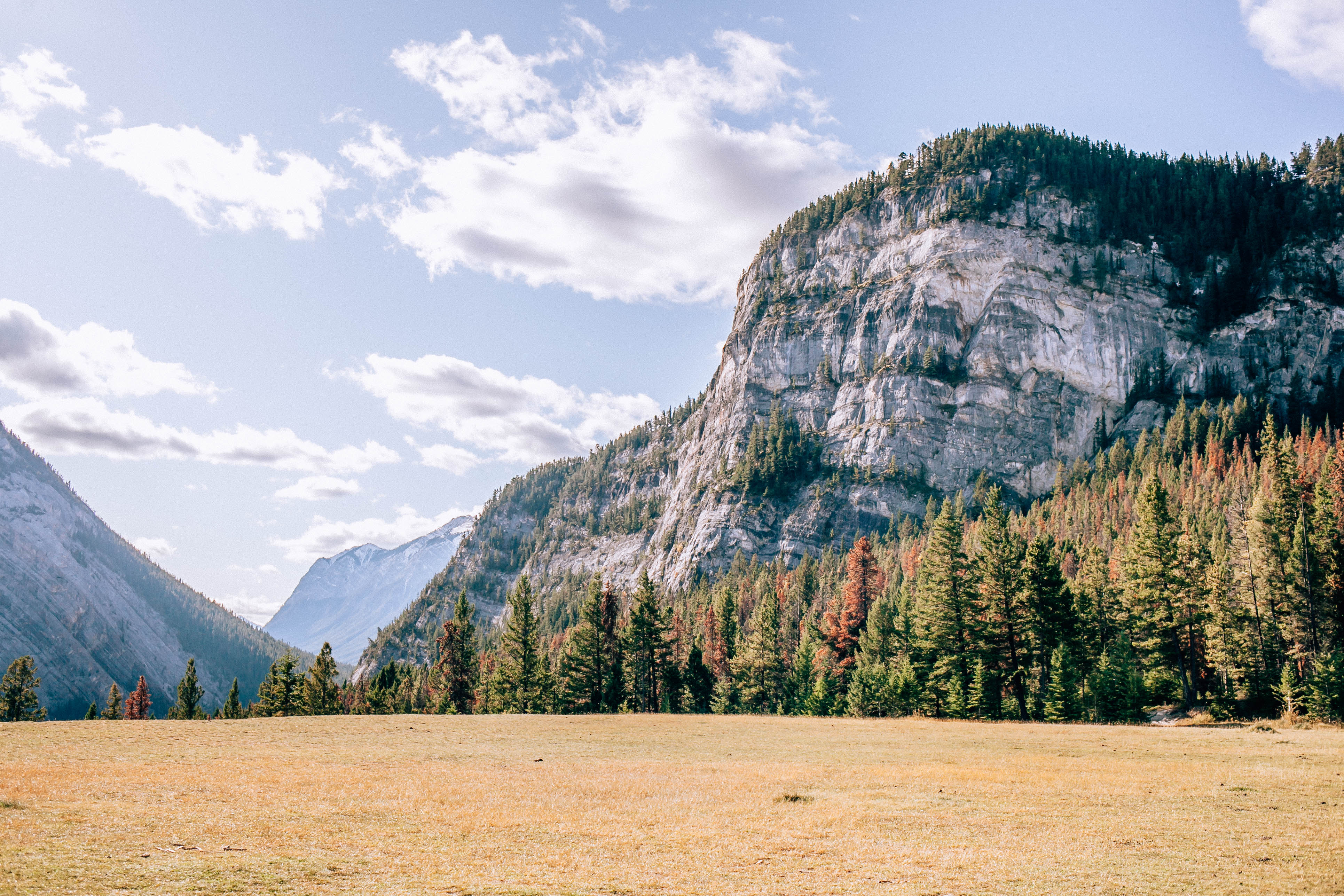 Banff Travel Guide on Rachellaurenlucy.com. Where to stay in Banff, what to do in Banff and where to eat in Banff. Our fall trip to Banff was a dream and we rounded up our favorite Banff lakes and hotels for you. Plus, we tell you when to go to Banff and how to get there!